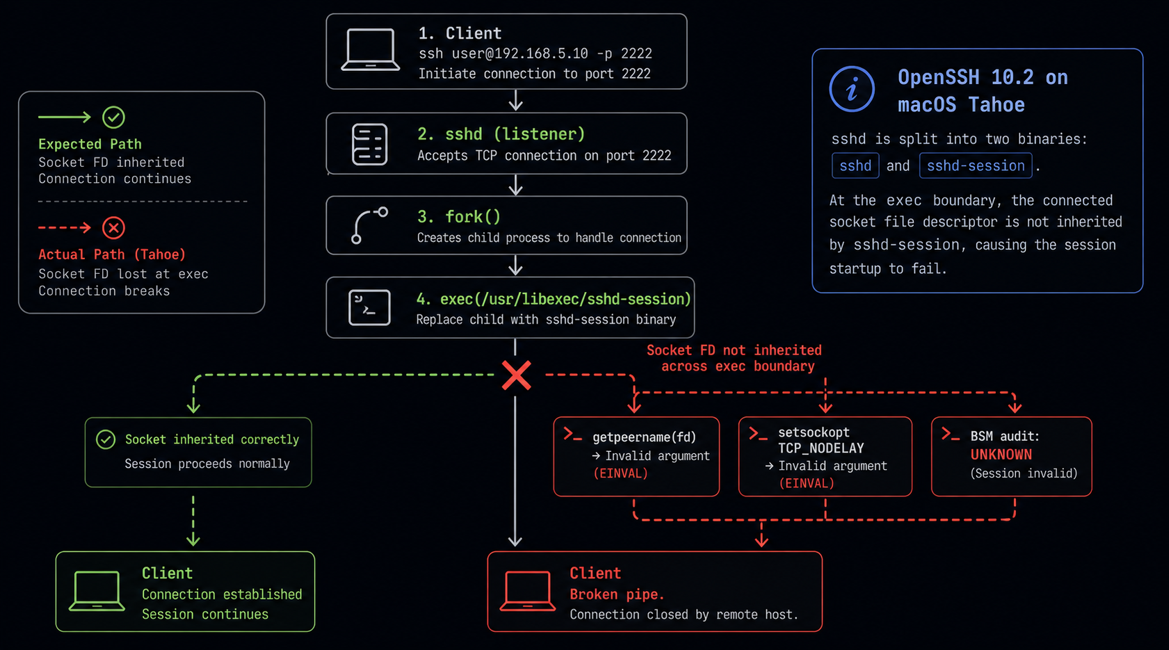 Technical flow diagram showing the sshd to sshd-session socket inheritance failure on macOS Tahoe